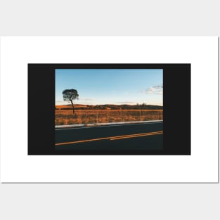 Lonely Tree in Beautiful Landscape at Sunset Posters and Art